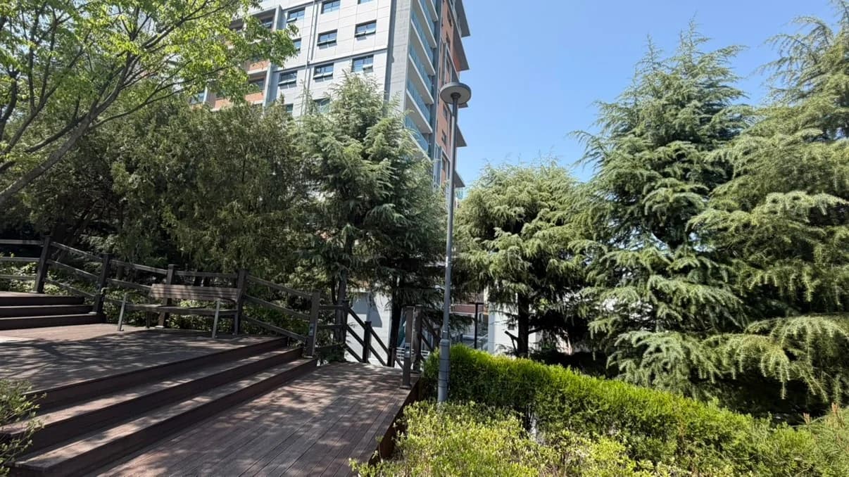 Yeungnam University College