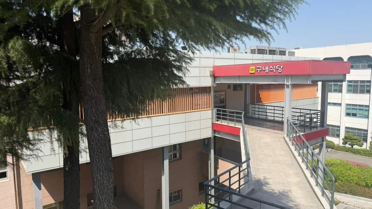 Yeungnam University College