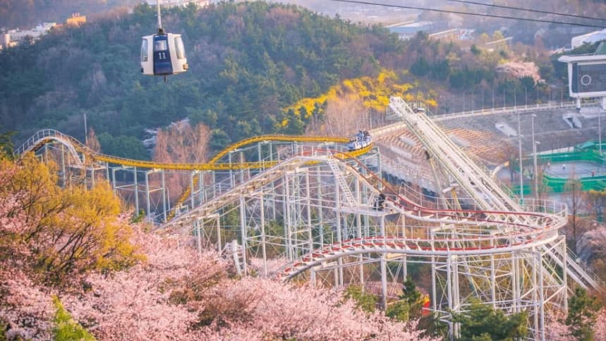 E-World Theme Park & 83 Tower Night View
