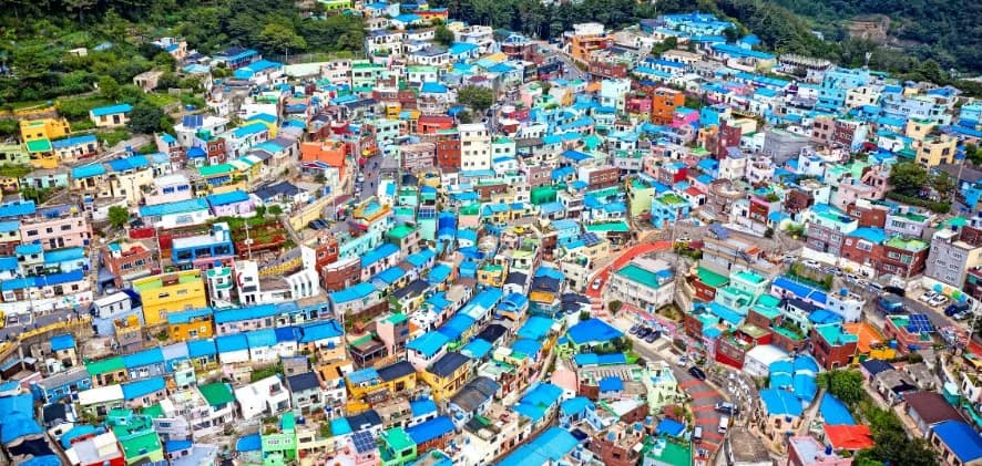 International Culture Exchange & Busan Trip
